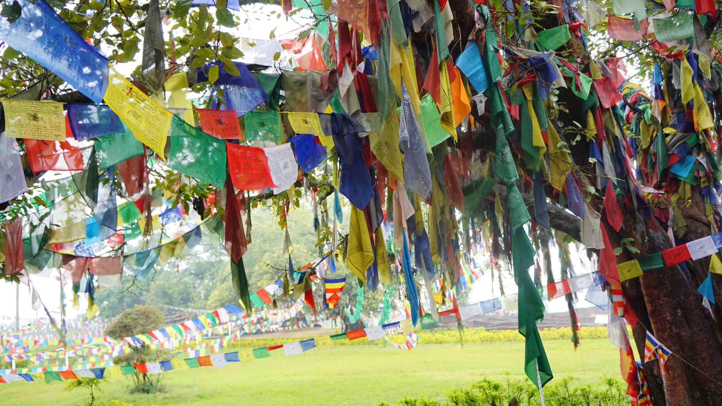 Bodi tree and Praying Flag at Lumbini, Photo taken by GotheHimalaya treks