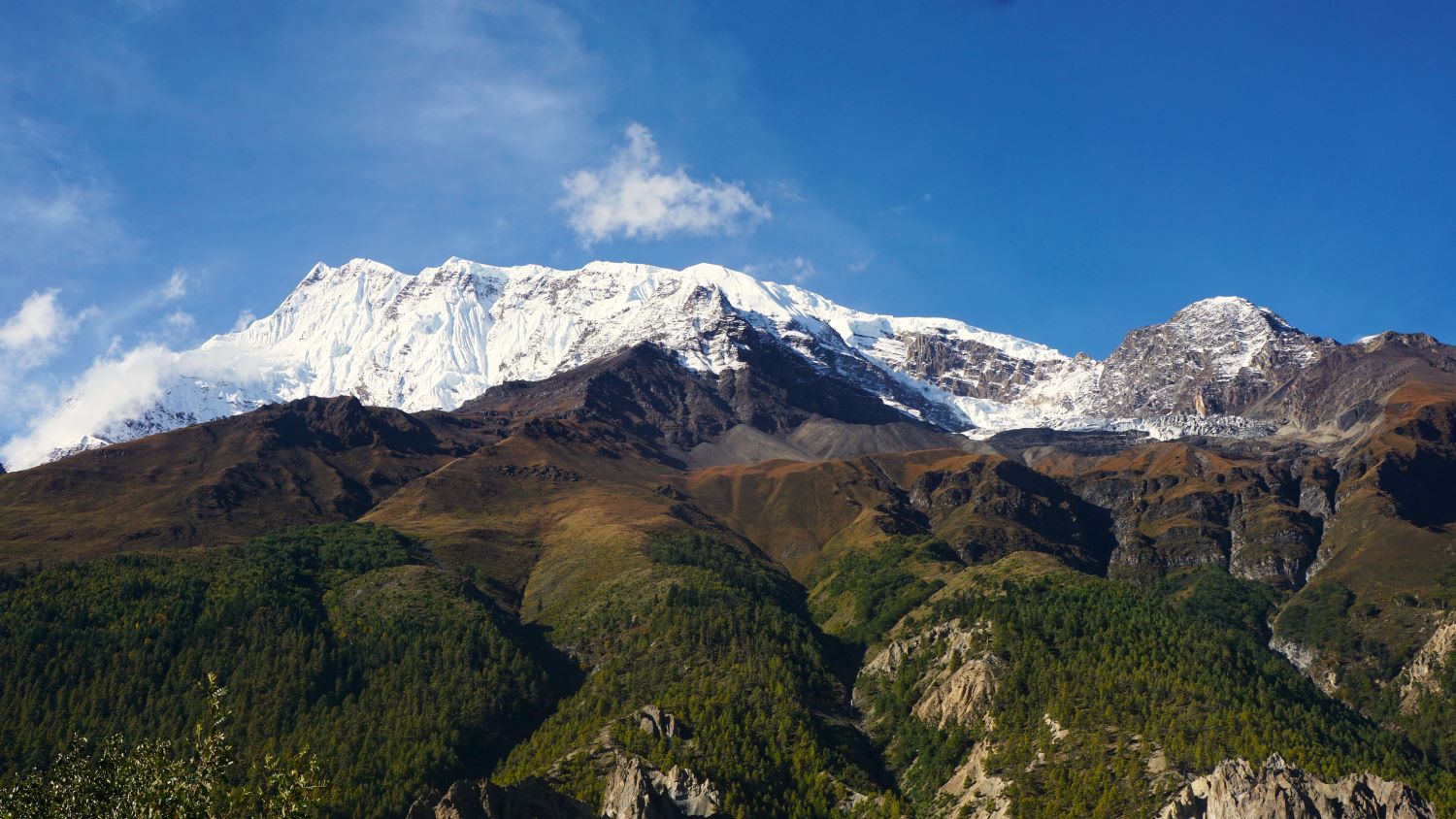 Annapurna III with layers of biodiversity, Photo Capture by Go The Himalaya Team, Annapurna Circuit trek