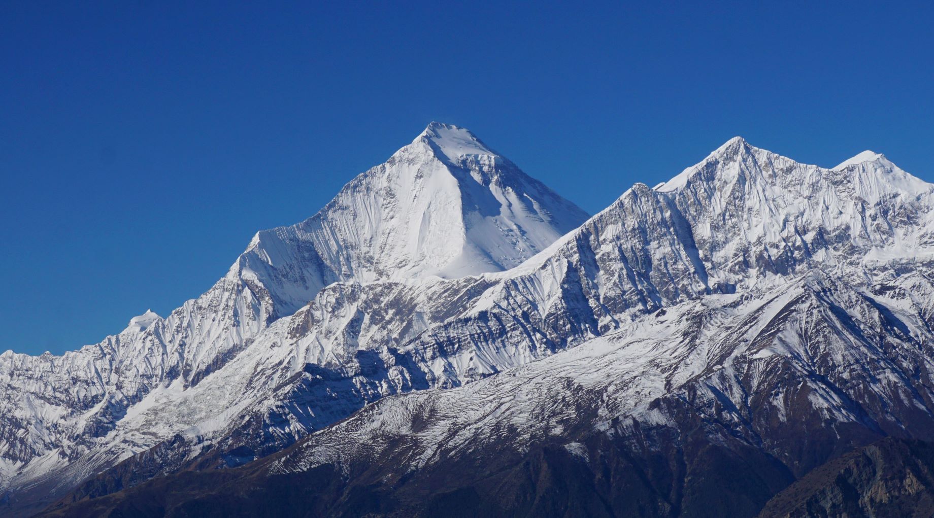 Mt Dhaulagiri from Lubra Pass Photo by Go The Himalaya Team, Annapurna Circuit trek